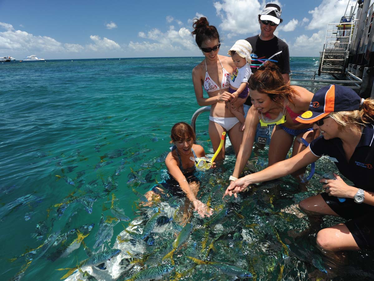 great barrier reef for kids, family reef trip cairns, family cruises