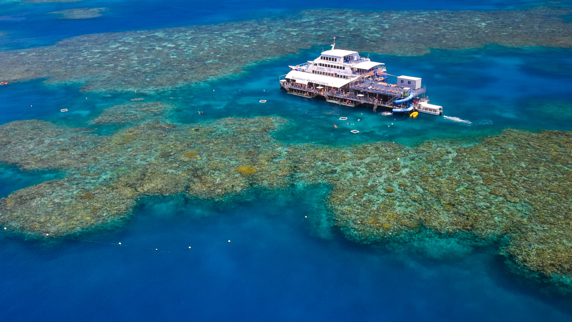 pontoon cruise, glass bottom boat, adventure