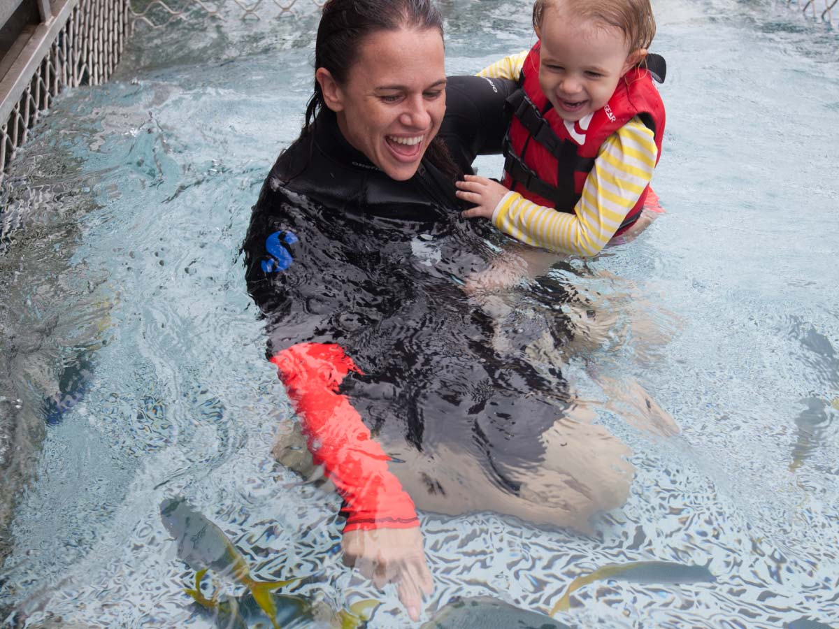 great barrier reef for kids, family reef trip cairns, family cruises