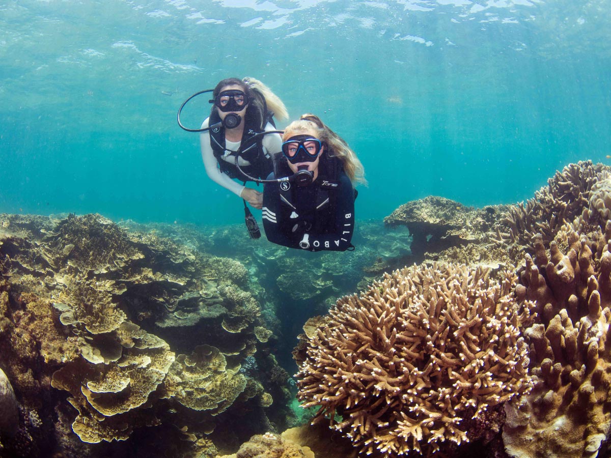 great barrier reef scuba diving