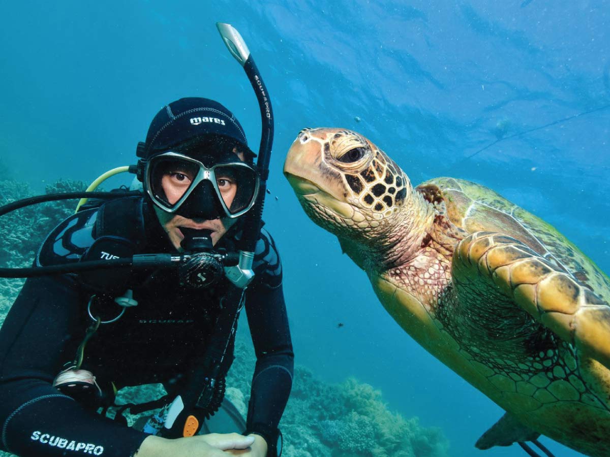 great barrier reef scuba diving