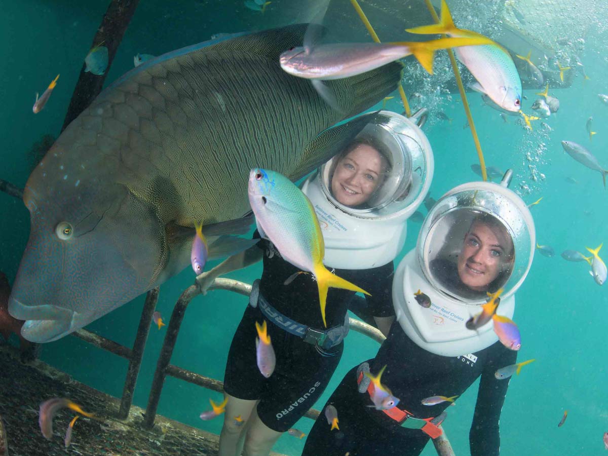 great barrier reef scuba diving